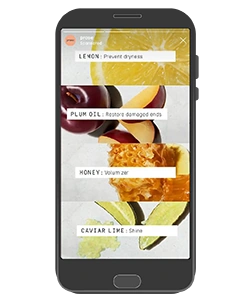 Primer Instagram Story Canvas oglasa