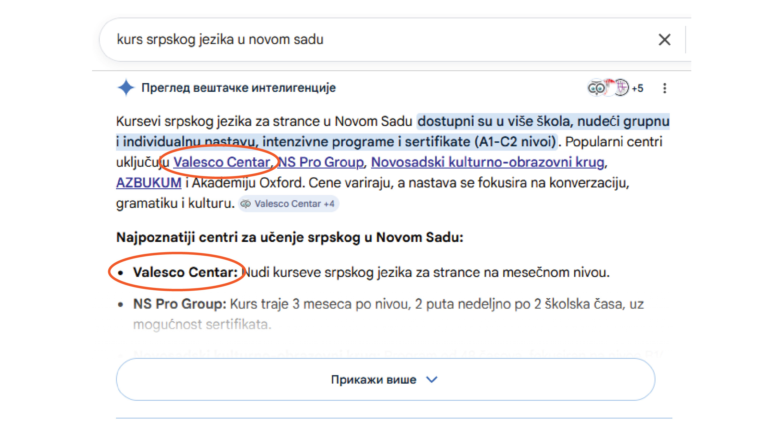 Google AI overview - Valesco Centar